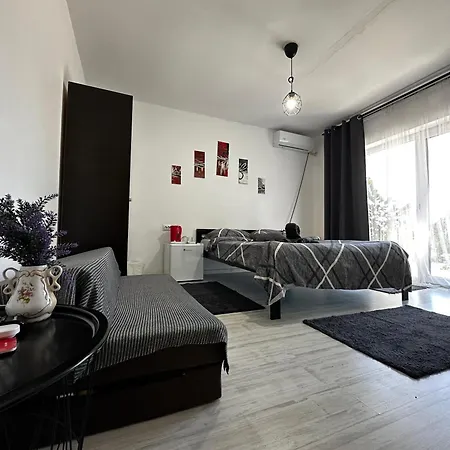 Πανσιόν Ana 3*