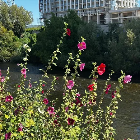 Konukevi Ana Kaloşvar