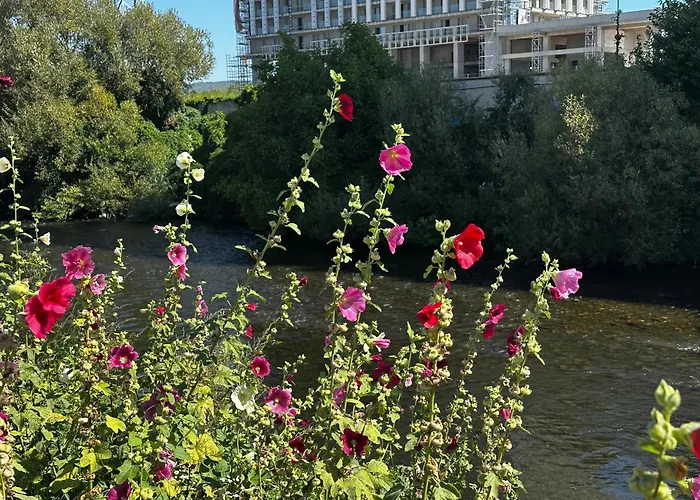 Pensión Ana Cluj-Napoca